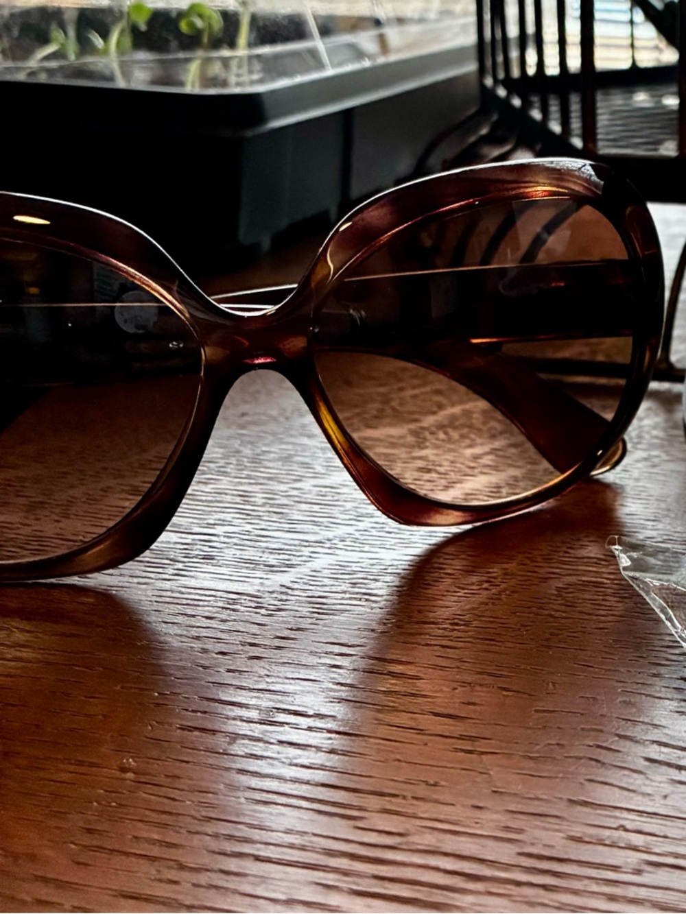 Ray-Ban Tortoiseshell Brown Oversized Women's Sunglasses